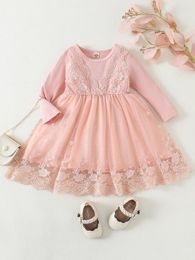 Baby Contrast Embroidered Mesh Dress SHE