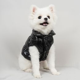 Dog Clothes Pet Shiny Lamb Jacket Two-legged Clothes French bulldog Corgi Winter Clothes Warm Fashion Winter Coat