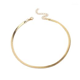 2021 Gold/Silver Plated Adjustable 5MM Flat Snake Chain Herringbone Choker Necklace Simple Dainty Jewellery for Women 15" Chocker1