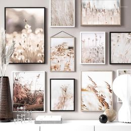 dandelion canvas wall art UK - Rice Dandelion Autumn Plants Wall Art Canvas Painting Landscape Nordic Posters And Prints Wall Pictures For Living Room Decor1