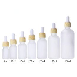 Essential oil packaging 5ml 10ml 15ml 20ml 30ml 50ml 100ml e liquid serum glass bottles with eye dropper