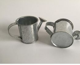 2021 Silvery iron Party Favours Mini Watering cans pure tin box Iron pots metal decorative watering cans