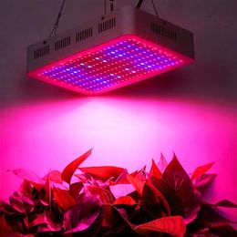 -2000W Dual Chips 380-730nm Spectrum Full Light LED Plant Growth Lamp Bianco Grow Lights Wholesale