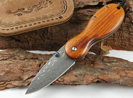 Special Offer 6 Inch Damascus Pocket Folding Knife VG10 Damascus Steel Blade Rosewood handle EDC Knives With Leather Sheath