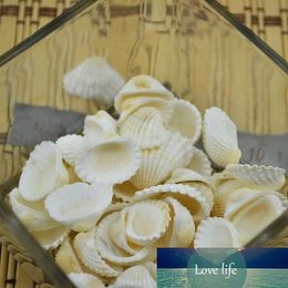 50Pcs Fashion Aquarium Landscape Seashells Jewelry Craft Decor Natural Conch Shells Conch Corn Screw Wall Decoration