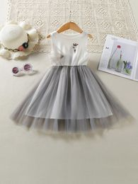 Toddler Girls Swan & Crown Print Mesh Overlay A-line Dress SHE