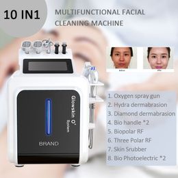 H2O2 10 in 1 water peeling dermabrasion blackhead RF BIO hydra machine New Product 10 In 1 Professional Facial Exfoliating Oxygen Skin Care Beauty