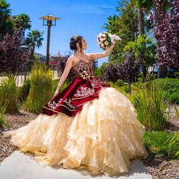 Red Velvet Ball Gown Quinceanera Dresses Organza Ruffles Skirt Sweet 16 Prom Dress Vestidos De Novia Custom Size