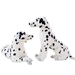 dalmatian plush toy australia