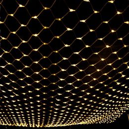 2M*3M Led Net Lights 220V Wedding Decoration Christmas Fairy String Light Outdoor Holiday Festival Multi Outdoor Garden Lamp 201203