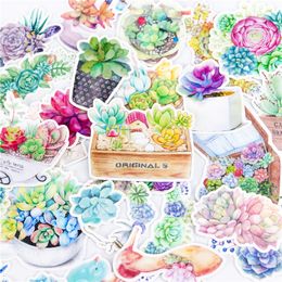 32pcs kawaii succulent plants stickers for Kid DIY Laptop Waterproof Skateboard Moto phone Car Toy Scrapbooking Stickers C0125