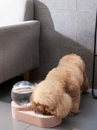 Automatic Pet Feeder Tableware Cat Dog Pot Bowl s Food For Medium Small Dispensers Fountain Y2009173159