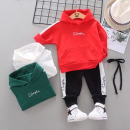 Spring Autumn Toddler Active Clothing Suit Children Boy Girl Letter Hoodie Patchwork Pants 2Pcs/set Kids Clothes Baby Tracksuits LJ200916