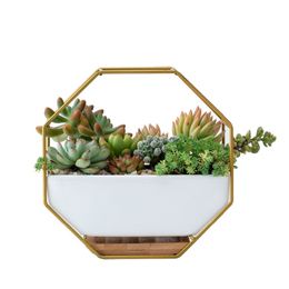 Hanging Succulent Flower Pots Ceramic Flowerpots Stand Holder Black Gold Iron Rack Bamboo Tray Desktop Geometric Cactus Planter Y200723