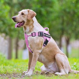 FML Pet No Pull Cat Harness with Reflective Straps Adjustable Breathable Service Dogs Vest with Handle Easy Control In Training LJ259C