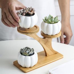 3 Tier Indoor Desk With Drainage Pumpkin Succulent Pots Mini Home Office Garden Decoration Bamboo Stand Set Planter Modern Y200709