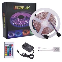 12V 10M Çift Disk SMD 2835 Lamba Boncuk 300 Lamba-RGB-IR44-Olmayan Su geçirmez Ve Sigara Tutkal 24 Tuşlu Işık Şerit Seti (40W Beyaz Işık Kurulu)