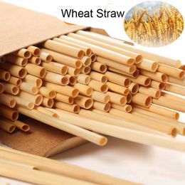 Wheat Straw Eco-friendly Natural Plant Health Low Carbon Life 20cm 22cm 25cm Long Straws For Drink Hot Selling