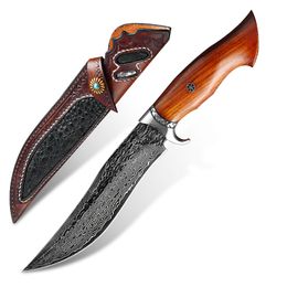 forge tools Australia - Camping survival hunting knives Damascus forged steel fixed blade rosewood handle field fishing knife tactical combat self-defense multi-purpose EDC tools