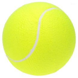 9.5" Oversize Giant Tennis Ball For Children Adult Pet Fun