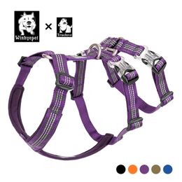 Truelove Pet Dog Harness Collar For Small Large Dogs Soft Escape Proof Dog Halter Adjustable Harnais Truelove Chien Odblaskowe 201126