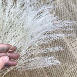 35CM/10PCS Real Dried Natural flowers Feather grass,Dry Brazilian milfoil Eternelle For Home Decor,Wedding Decoration,christmas 201203