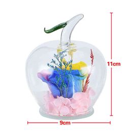 Gifts for women Preserved Rose Artificial Immortal Flowers In Apple-shaped Glass Dome Birthday Valentine's Day Anniversary Gift for Girl Wedding
