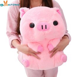 pig plush toy australia