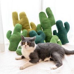 Cactus Catnip Cat Toy Pet Plush Chew Dog Toys Teeth Grinding Chewing Durable Tug Fetch Bite Toys for Small Medium Large Cat Dogs LJ201125