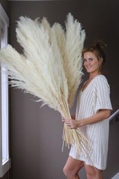 Big Pampas Grass Wedding Decor 130cm Natural Reed Reed Showcase Christmas Shopwindow Decor Real Plant 55 ~ 60cm