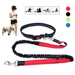 Adjustable Dog Leash Hands Free Leash for Running Walking Training Hiking Dual Handle Lead Shock Absorbing Bungee Dog Lead LJ201113