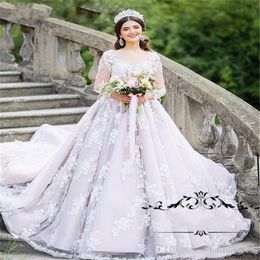 Real Image Princess Ball Gown Wedding Dress Long Sleeve Sheer Neck Lace 3D Floral Appliques Tulle Bridal Gowns Sweep Train Vestidos De Novia