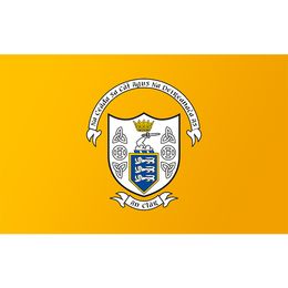 Clare Official Ireland GAA Crest County Flag , Double Stitching Sports Custom 3x5ft Banner Sports Festival Usage