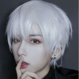 Cosplay Short Straight Anime Wigs Synthetic Natural Hair Wigs Halloween