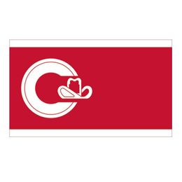 Calgary Flag High Quality 3x5 FT City Banner 90x150cm Festival Party Gift 100D Polyester Indoor Outdoor Printed Flags and Banners