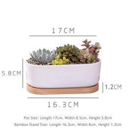 Set Minimalist White Ceramic Succulent Plant Porcelain Planter Decorative Desktop Flower Home Decor(1 Pot + 1 Tray) Y200709