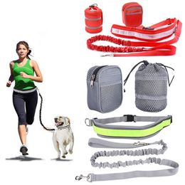 Pet Dog Leash Hands Free Traction Seat Belt Adjustable Traction Leash Outdoor Sports Walking Running Traction Rope T9I00977