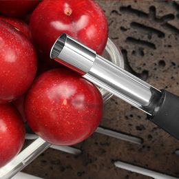 Apple Seeds Nz Buy New Apple Seeds Online From Best Sellers Dhgate New Zealand Apple Seeds Nz Buy New Apple Seeds Online From Best Sellers Dhgate New Zealand