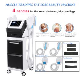 Other Beauty Equipment Home Salon Use 4 handles Emslim Beauty Fat Burn Cellulite Treatment Muscle Stimulator Building Body Shaping Machine