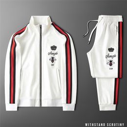 White striped sports and leisure suit vertical collar jacket jacket beam foot slim pants trend wild little bee men 201201