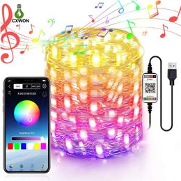 USB Fairy String Lights 2M 5M 10M 20M Waterproof 16 Colors Changing Bluetooth Sliver Wire Lights for Craft Bedroom Ceiling Christmas Decoration