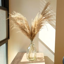 wedding pampas grass decor feather flowers bunch natural dried flower pampas plants Easter Christmas decorations home decor Y201020