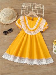 Toddler Girls Contrast Embroidered Mesh Ruffle Trim Puff Sleeve Dress SHE
