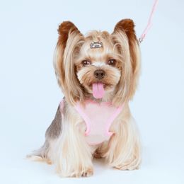Mesh Vest Dog Harness Leash Set for Small Medium Dogs Fashion Print Designer Dog Harnesses French Bulldog Pug Leading Rope A206 LJ201202