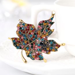 gold maple leaf brooch diamond dress business suit brooches scarf buckle corsage women men fashion jewelry will and sandy gift