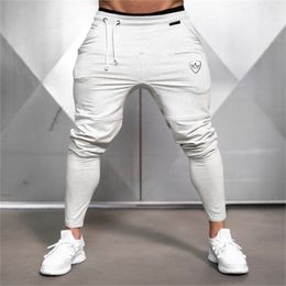 New Men's Hip Hop Sweatpants Fitness Joggers Spring Male Side Stripe High Street Hip Long Trousers Harem Pants Sweatpant 201125