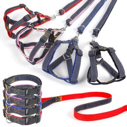 Pet Cowboy Rope Chain Adjustable Dog Harness with Leash Breakaway Dog Nylon Leash for Puppy Blue Pink