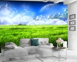 Custom Photo 3d Wallpaper Mural Classic 3d Wallpaper Green Grassland 3d Wallpaper Scenery in Wall Stickers