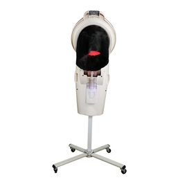 Temperature Control Electric Salon Use Thermal/Hot Micro Mist Ozone Sterilisation Hair Steamer