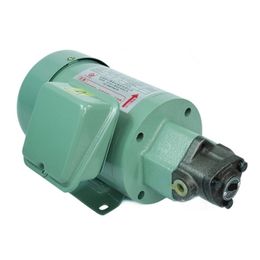 TOP Series Pump connect with Motor,Power 200W/380V TOP-1ME200-10MA TOP-1ME200-11MA TOP-1ME200-12MA TOP-1ME200-13MA